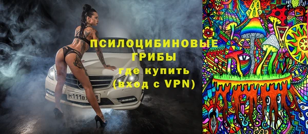 сатива Осинники