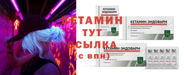 сатива Осинники