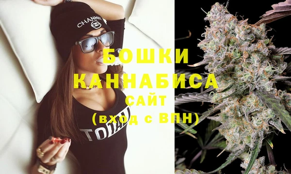 сатива Осинники