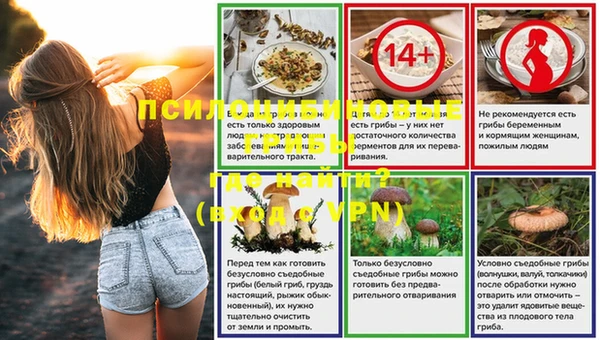 сатива Осинники