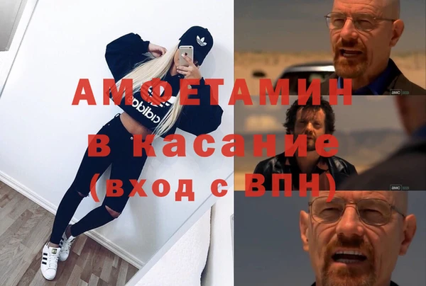 сатива Осинники