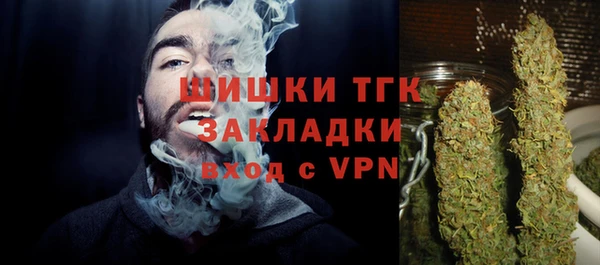 сатива Осинники