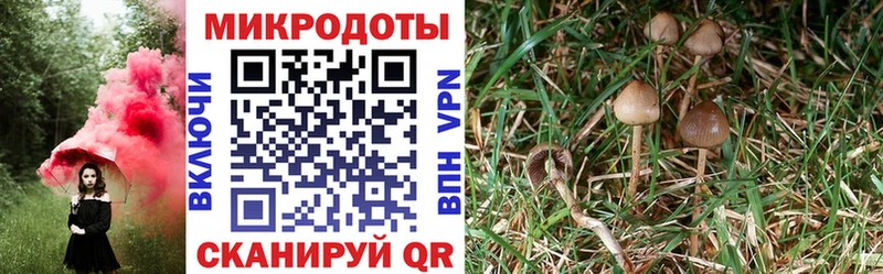 Галлюциногенные грибы ЛСД  Ярцево 
