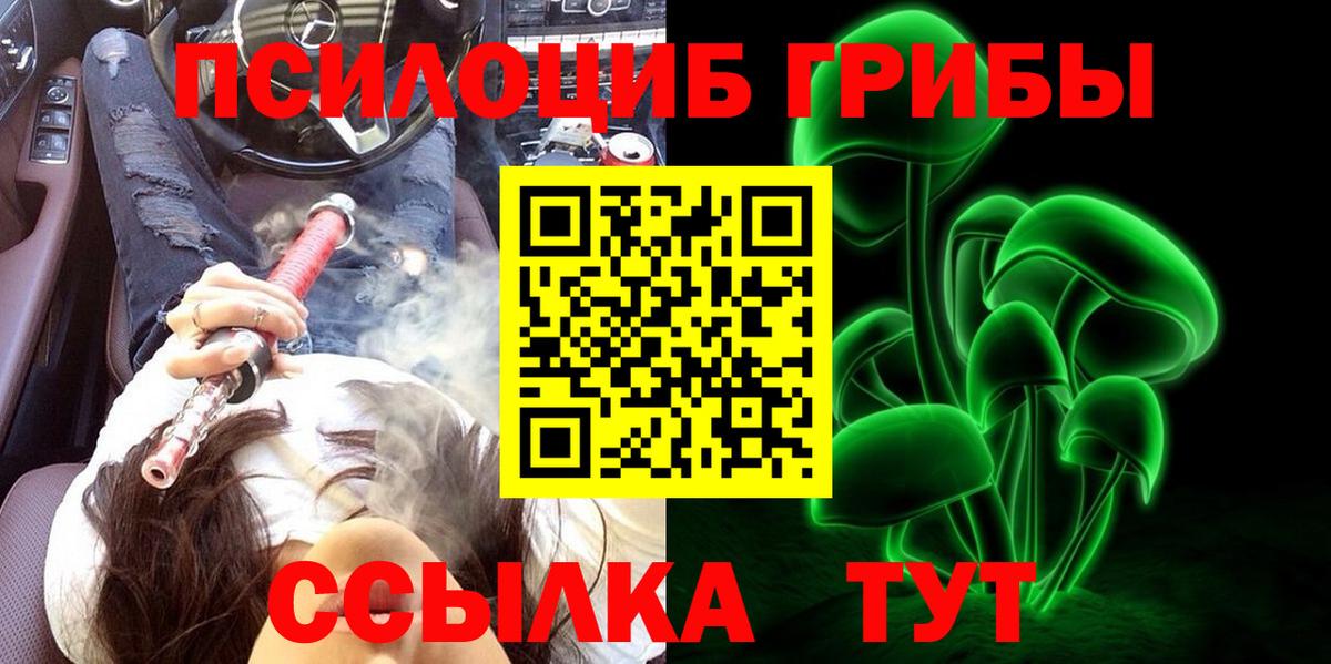 Псилоцибиновые грибы GOLDEN TEACHER  Ярцево  Псилоцибиновые грибы Cubensis 